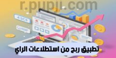 تطبيق لربح المال عبر الانترنت من استطلاعات الراي عبر الهاتف