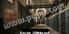 ما هي قصة الفيديوهات الجديد في صيدنايا كيف نتابع الاخبار عبر التطبيقات
